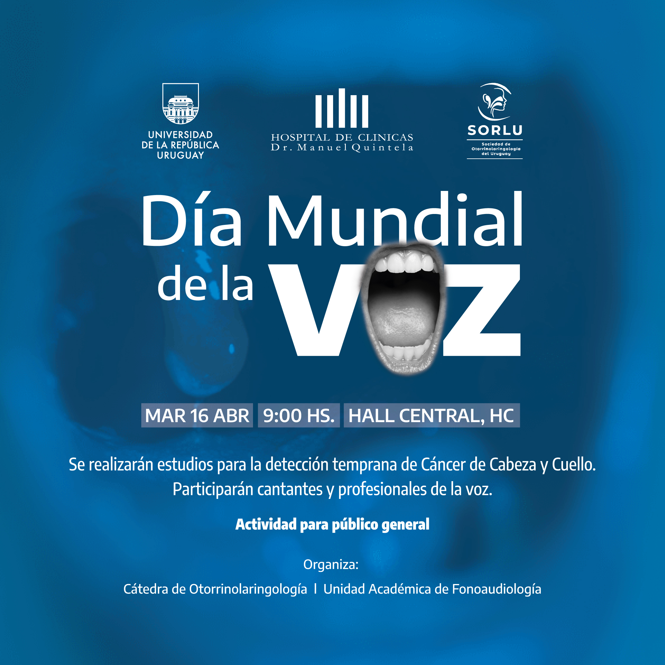 HC Dia Mundial de la Voz feed IG