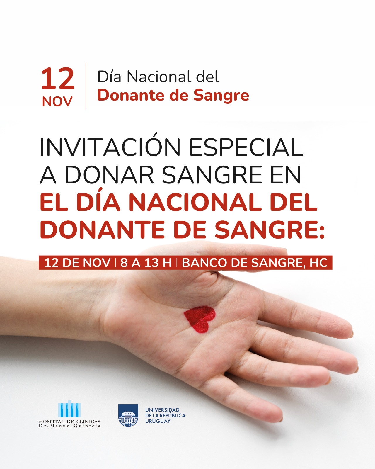 WhatsApp Image 2025 11 07 at 15.19.53