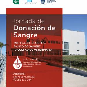 Miércoles 13 de agosto: Jornada de Donación de Sangre
