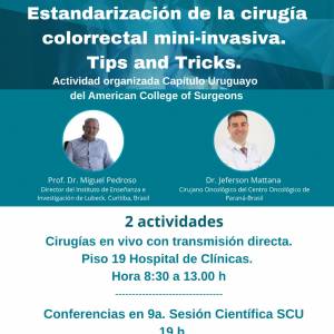 Miércoles 13 de agosto: Estandarización de la cirugía colorrectal mini-invasiva. Tips and Ticks
