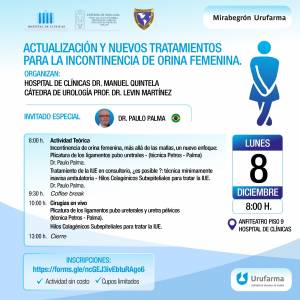 Lunes 8 de diciembre: Actualización y nuevos tratamientos para la incontinencia de orina femenina