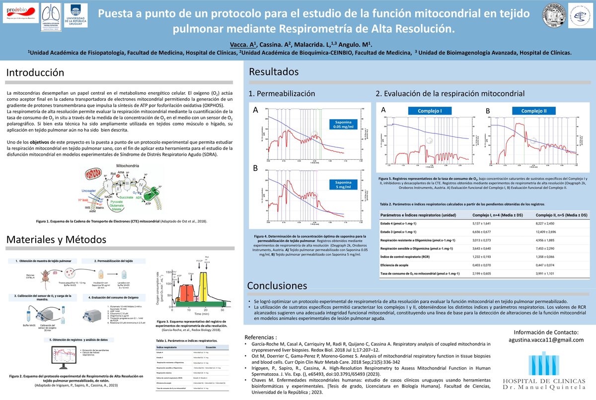 PUESTA A PUNTO DE UN PROTOCOLO PARA EL ESTUDIO DE LA FUNCIÓN MITOCONDRIAL PULMONAR MEDIANTE RESPIROMETRIA DE...