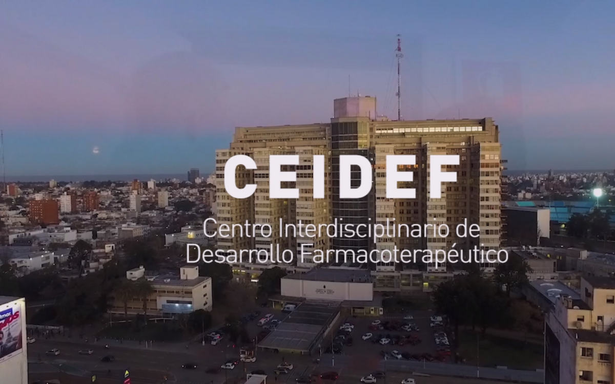 CEIDEF