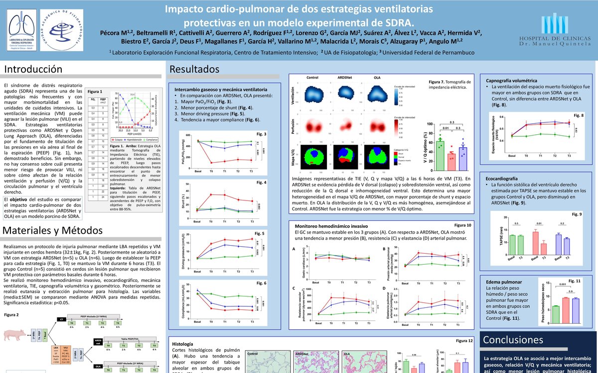 IMPACTO CARDIO-PULMONAR DE DOS ESTRATEGIAS VENTILATORIAS PROTECTIVAS EN UN MODELO EXPERIMENTAL DE SÍNDROME DE DISTRÉS...