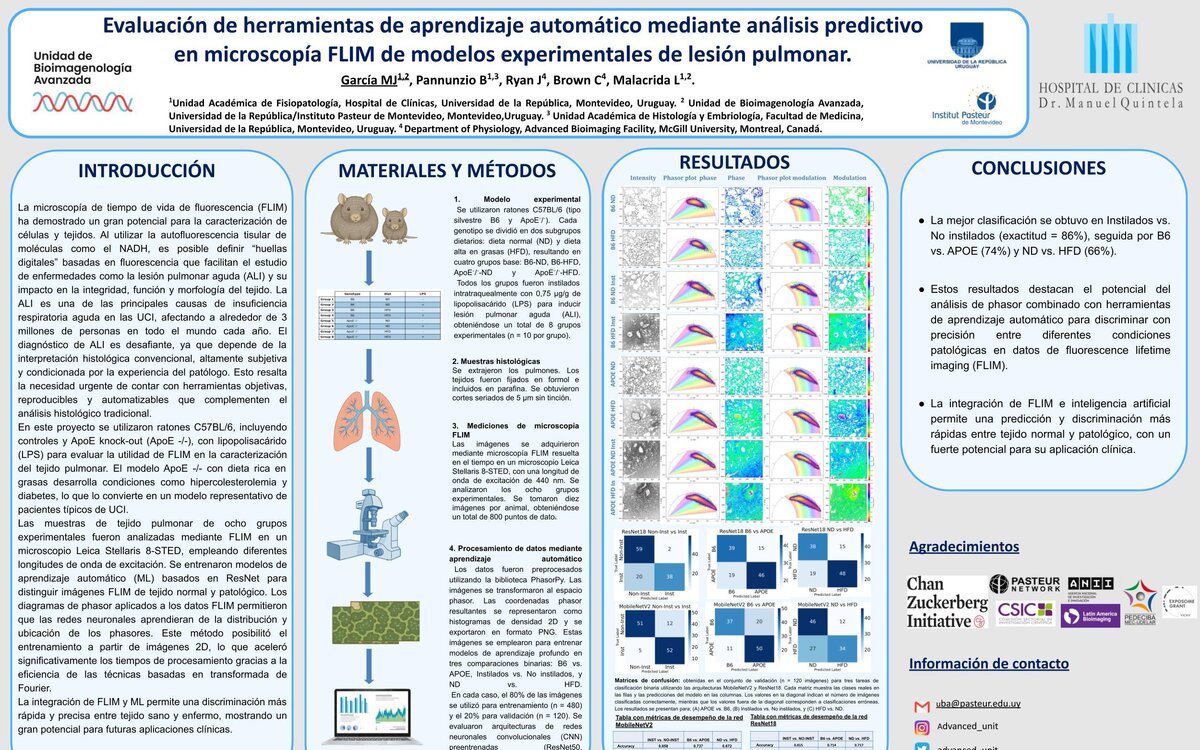 UTILIZACIÓN DE APRENDIZAJE AUTOMÁTICO PARA ANALISIS PREDICTIVO EN MICROSCOPÍA FLIM DE MODELOS EXPERIMENTALES DE LESION..