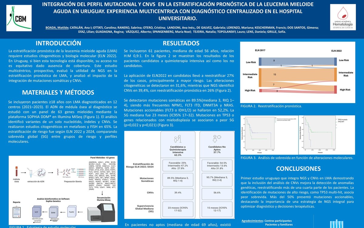 INTEGRACIÓN DEL PERFIL MUTACIONAL Y CNVS EN LA ESTRATIFICACIÓN PRONÓSTICA DE LA LEUCEMIA MIELOIDE AGUDA EN URUGUAY...