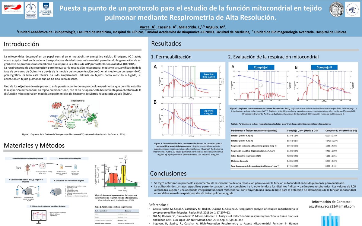 PUESTA A PUNTO DE UN PROTOCOLO PARA EL ESTUDIO DE LA FUNCIÓN MITOCONDRIAL PULMONAR MEDIANTE RESPIROMETRIA DE...