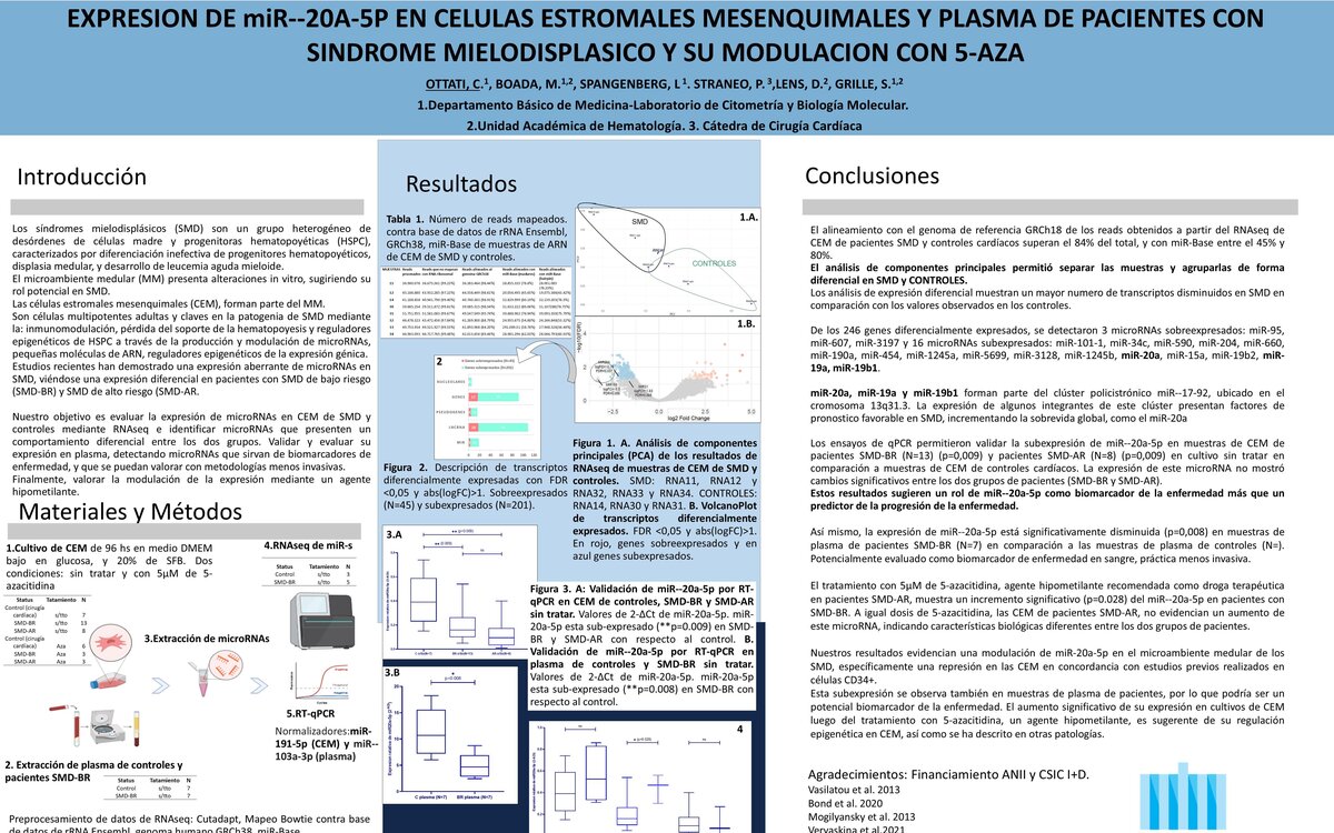 EXPRESION DE MIR-20A-5P EN CELULAS ESTROMALES MESENQUIMALES Y PLASMA DE PACIENTES CON SINDROME MIELODISPLASICO Y SU...