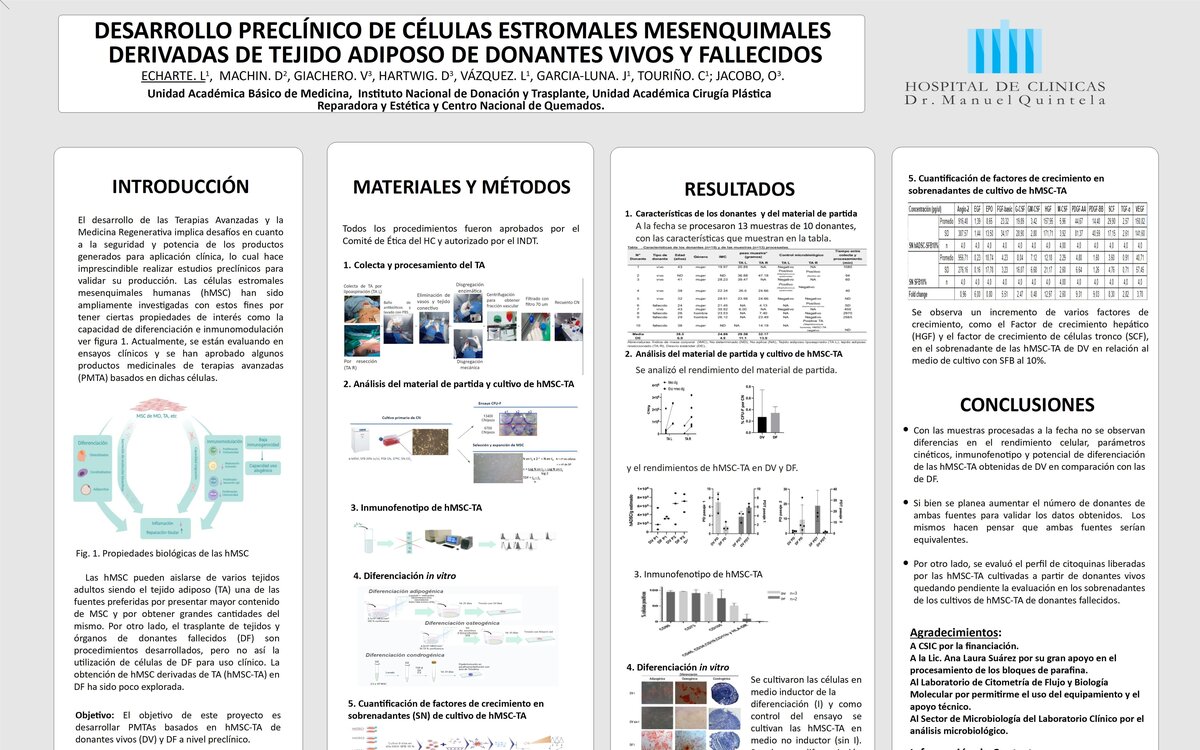 DESARROLLO PRECLÍNICO DE CÉLULAS ESTROMALES MESENQUIMALES DERIVADAS DE TEJIDO ADIPOSO DE DONANTES VIVOS Y FALLECIDOS