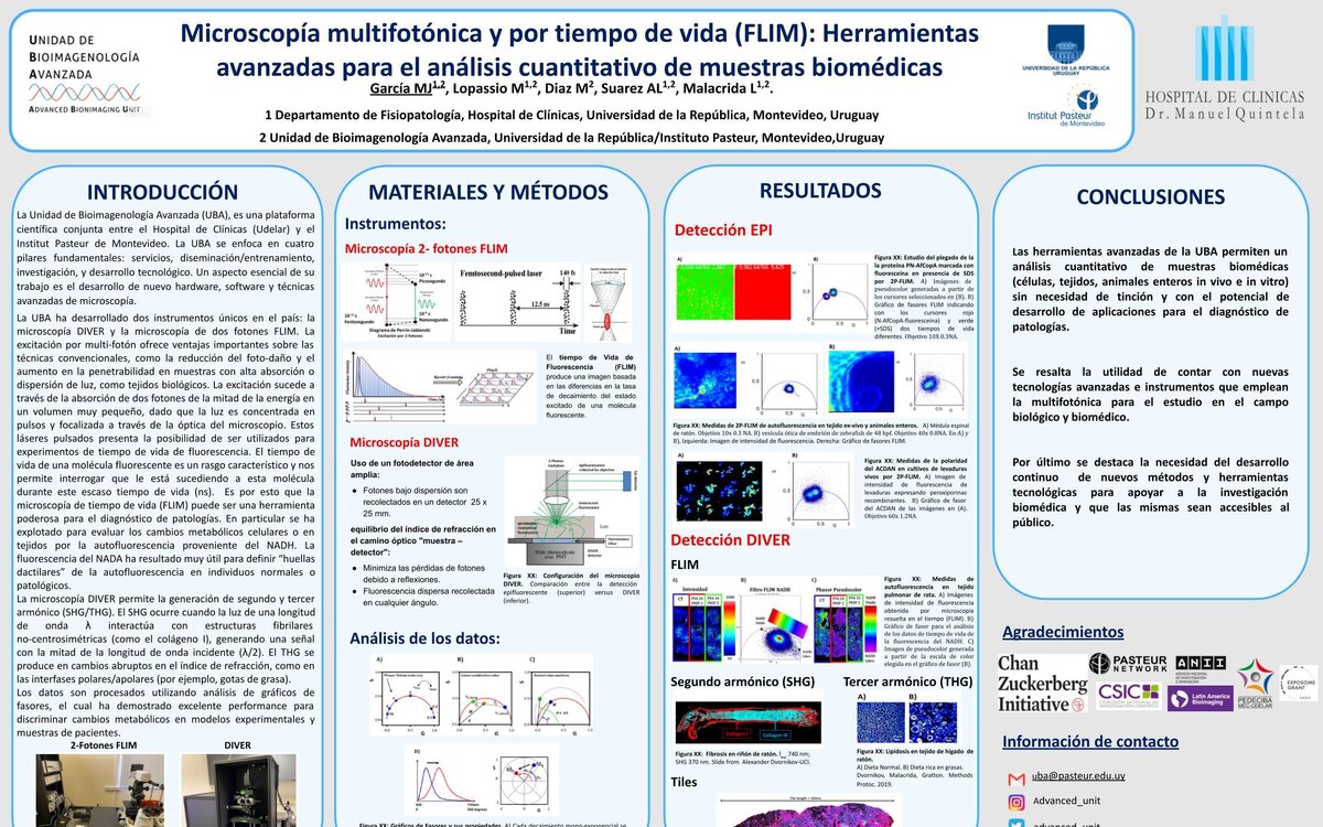 Microscopía multifotónica y por tiempo de vida (flim): herramientas avanzadas para el análisis cuantitativo de muestras